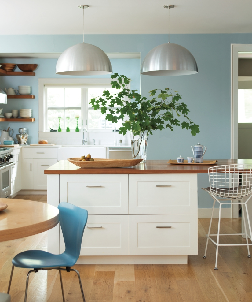 Creating Healthy Environments with Advanced Paint Technology Course