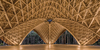 Pushing Boundaries with Bamboo: A Structural Engineering Case Study