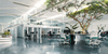 Biophilic Offices: Landscape and the Working Environment