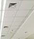 Acoustical Ceiling Restoration