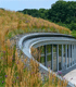 Keys to a Successful Green Roof  Thumbnail