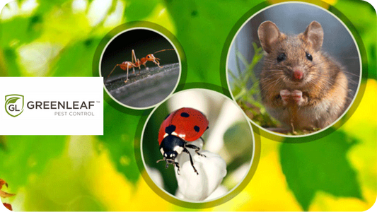Greenleaf Pest Control