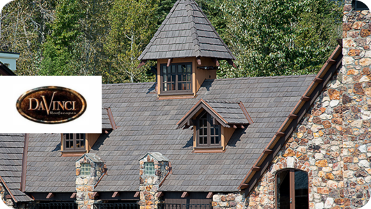 DaVinci Roofscapes