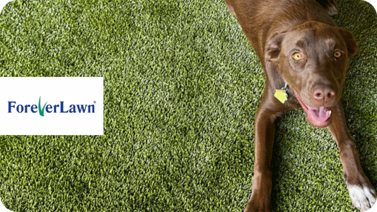 ForeverLawn