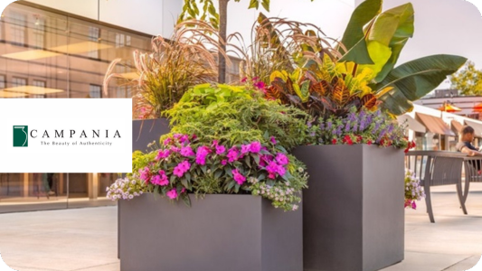 Campania International Inc.