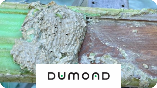 Dumond, Inc.
