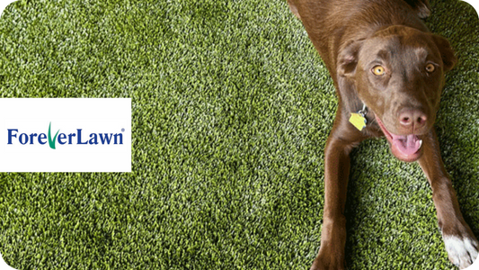 ForeverLawn