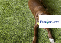 ForeverLawn