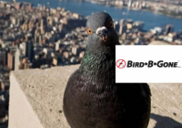 Bird B Gone