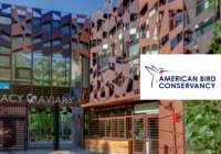American Bird Conservancy
