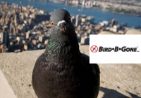Bird B Gone