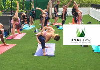 SYNLawn