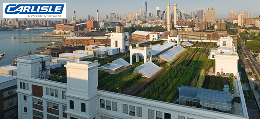 Vegetated Roofing Systems Vegetated Roofing Systems