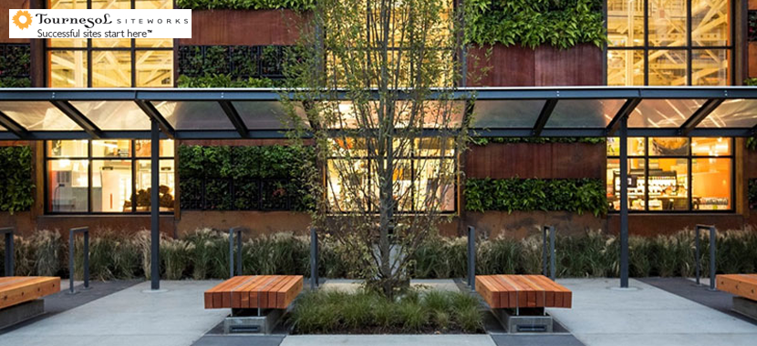 Greening the Amenity Deck Greening the Amenity Deck