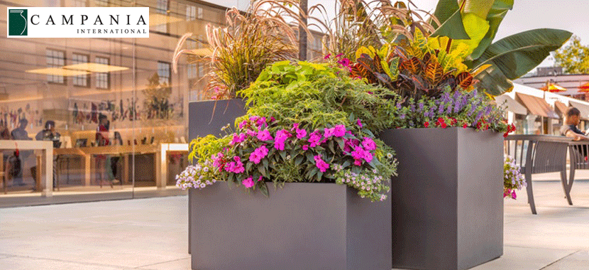 Commercial Planters: Selection Considerations Commercial Planters: Selection Considerations